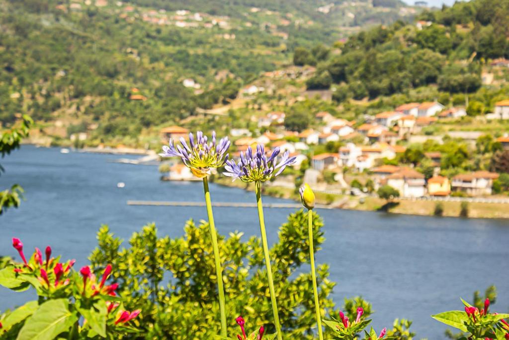 ヒーバ・ドウロ Casa Da Torre, Porto Mansoヴィラ エクステリア 写真