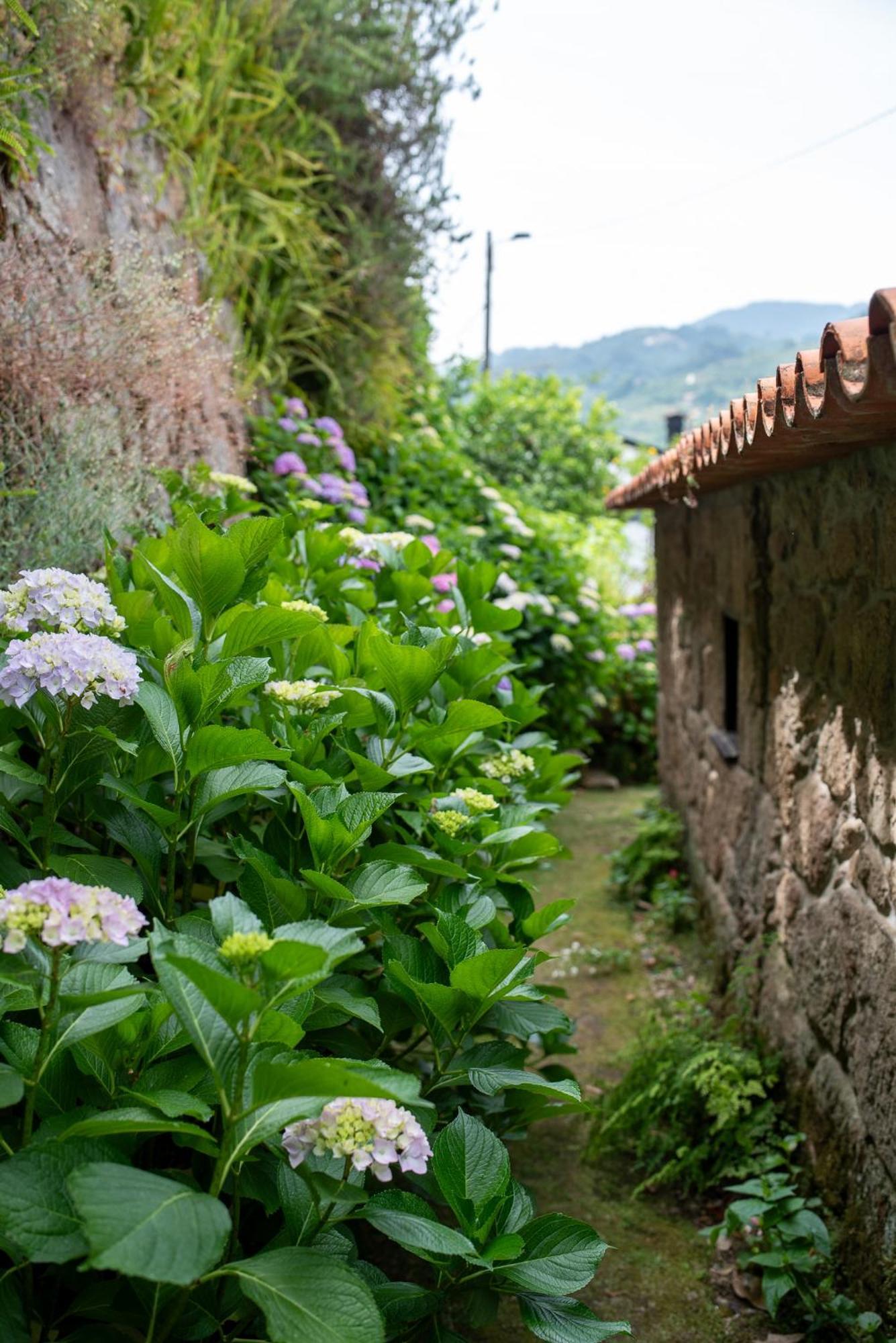 ヒーバ・ドウロ Casa Da Torre, Porto Mansoヴィラ エクステリア 写真