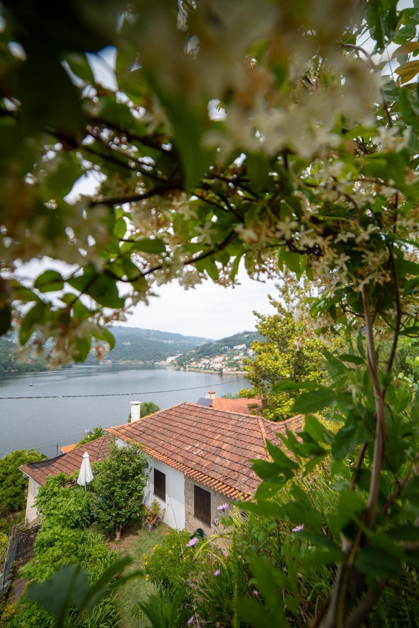 ヒーバ・ドウロ Casa Da Torre, Porto Mansoヴィラ エクステリア 写真