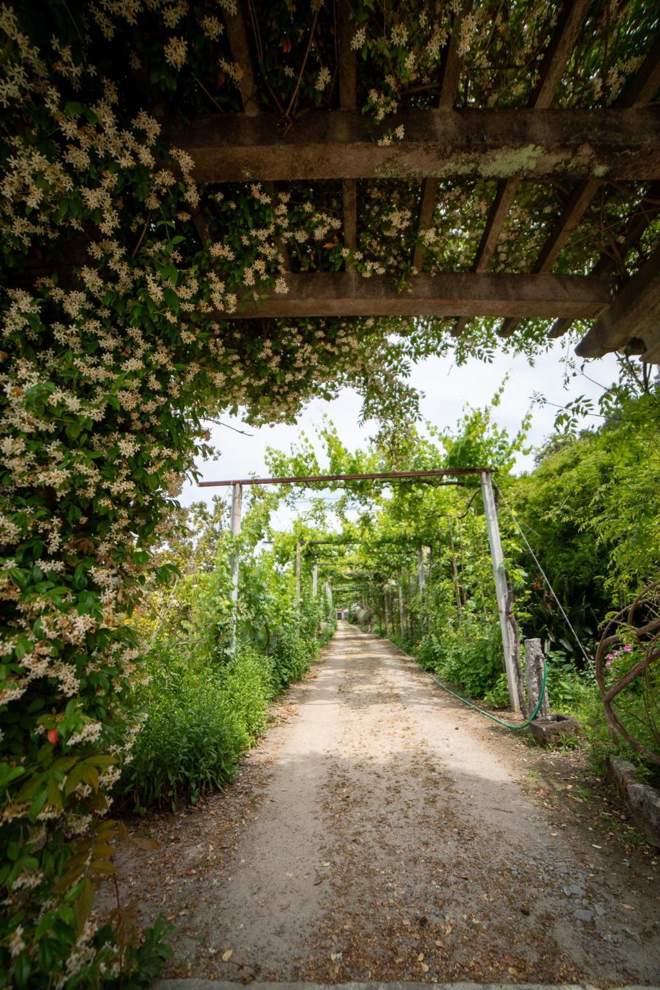 ヒーバ・ドウロ Casa Da Torre, Porto Mansoヴィラ エクステリア 写真